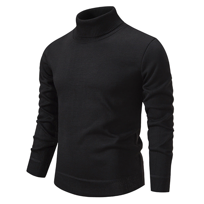 Paul | Wollmischung Rollkragenpullover