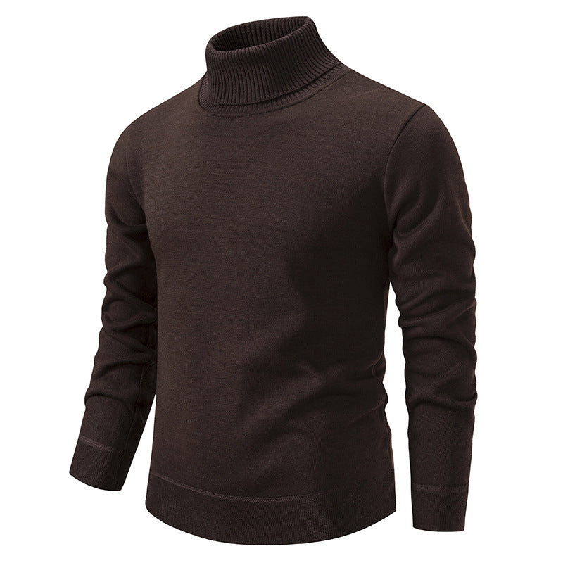 Paul | Wollmischung Rollkragenpullover