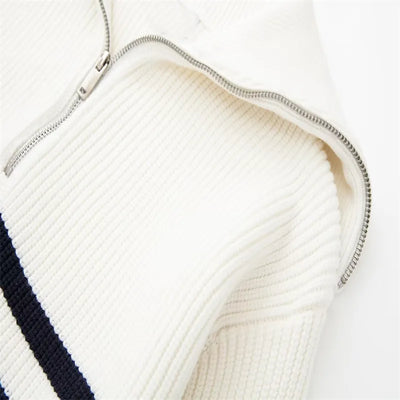 Streifend Zip up Pullover