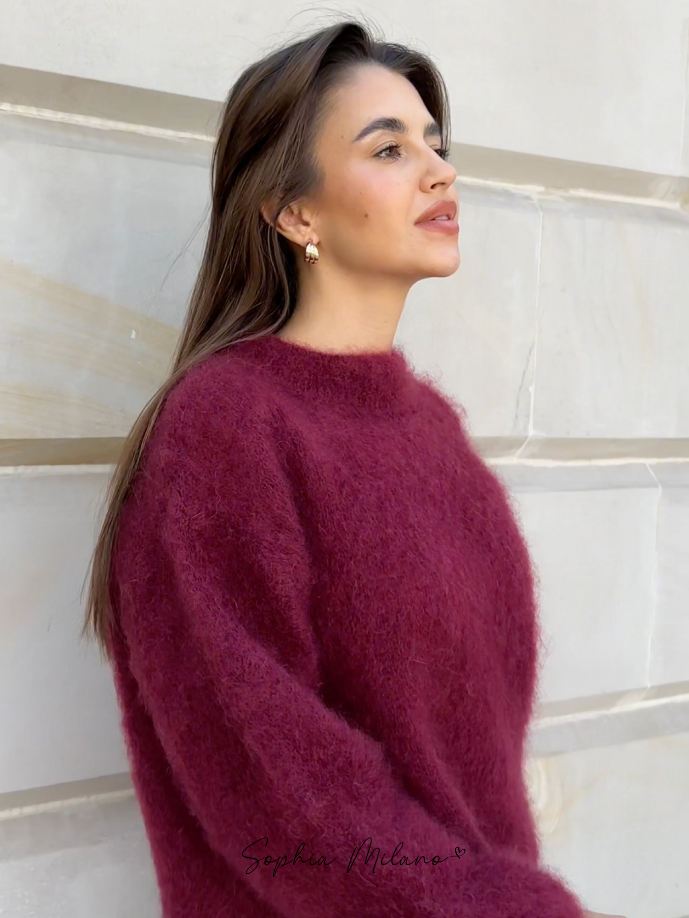 Elena | Mohair Crewneck Pullover