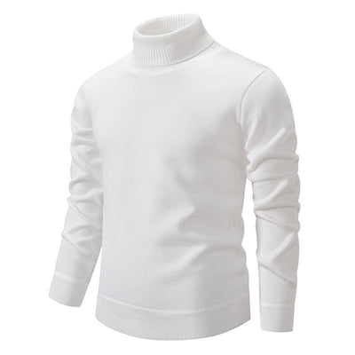 Paul | Wollmischung Rollkragenpullover