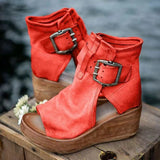 Rot