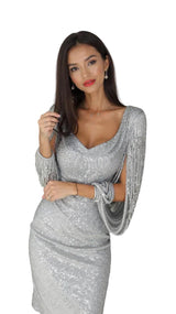 Silber